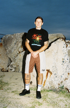 Load image into Gallery viewer, ENTOMOLOGY SHORTS GREY/BROWN