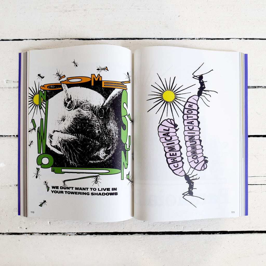 COME SUNDOWN 10 YEAR ARCHIVE BOOK