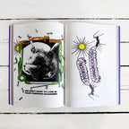 COME SUNDOWN 10 YEAR ARCHIVE BOOK