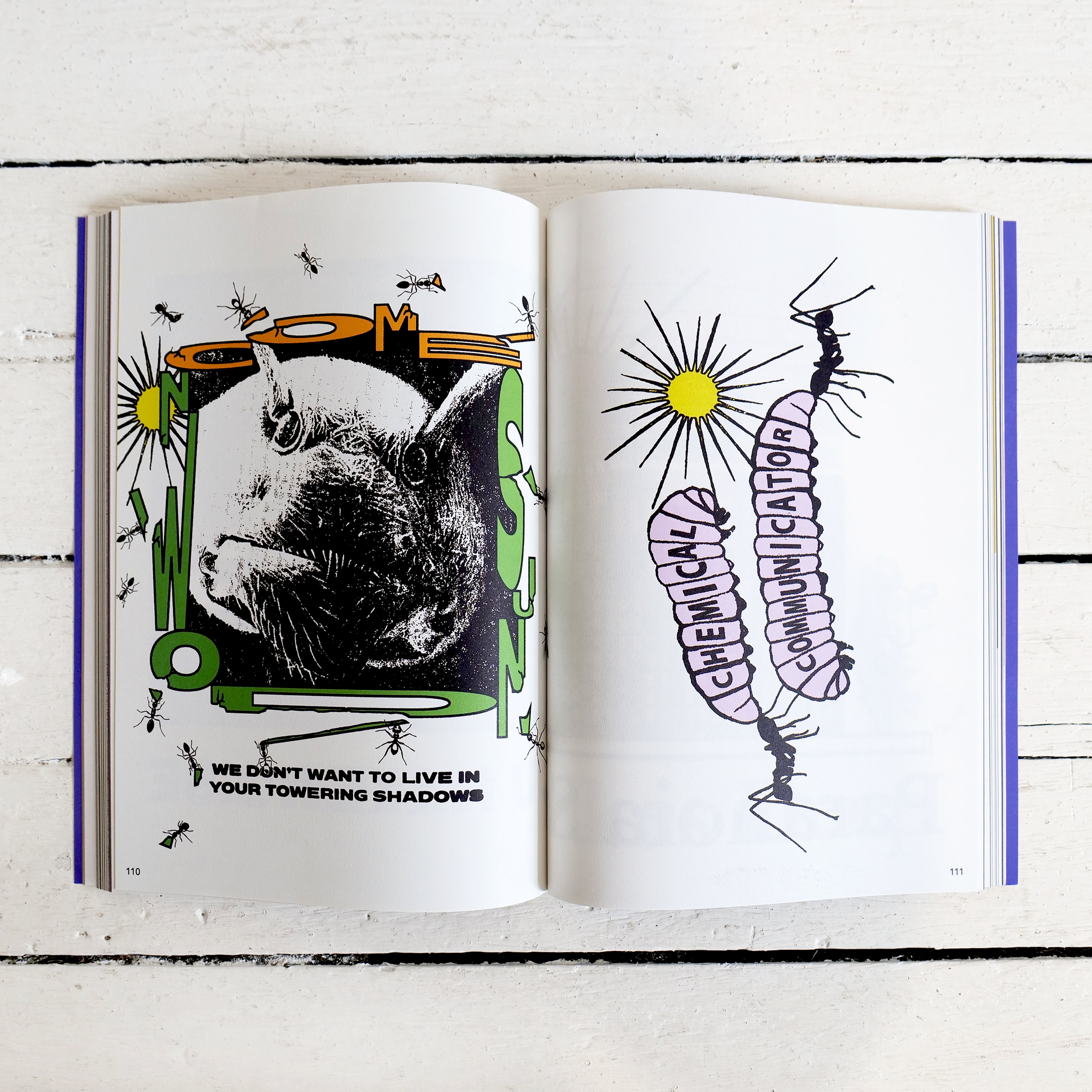 COME SUNDOWN 10 YEAR ARCHIVE BOOK