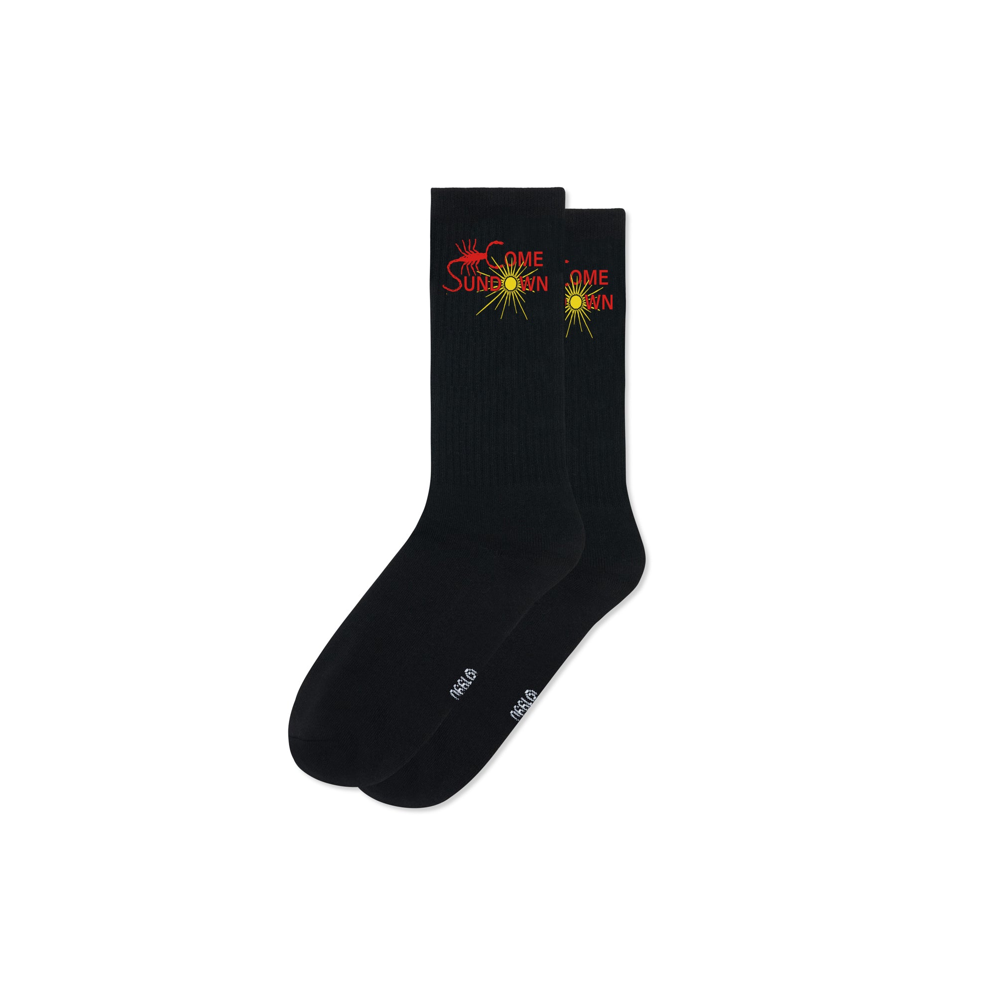 ENTOMOLOGY SOCKS